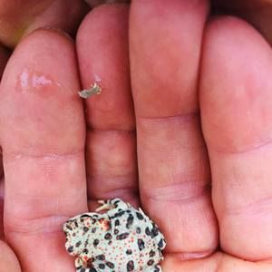 Meet your Posher, Scott